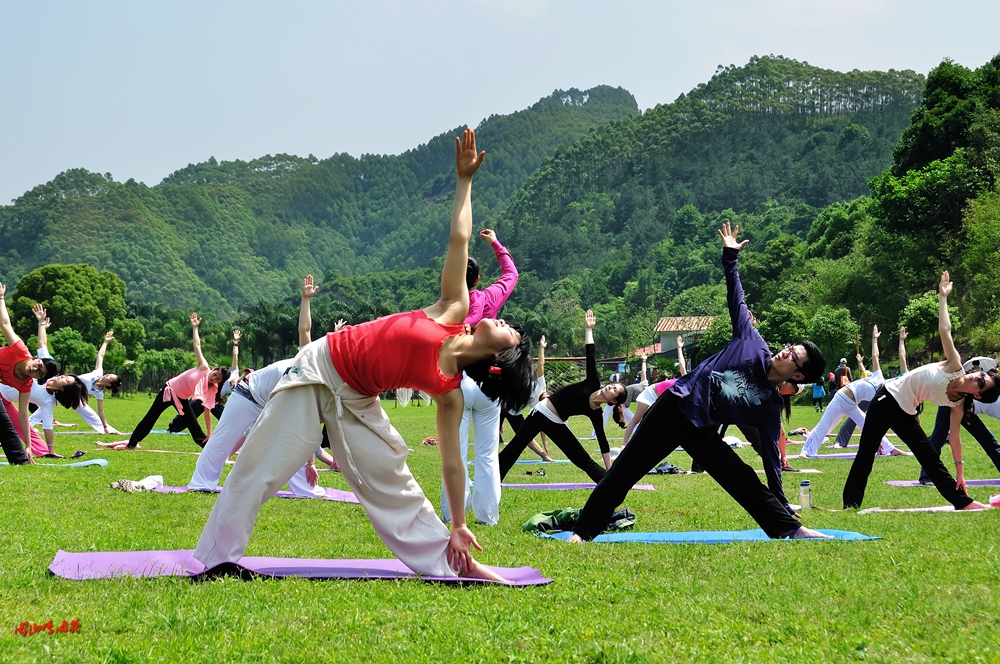 一春芳意，三月如风，日长风静，花影闲相照。