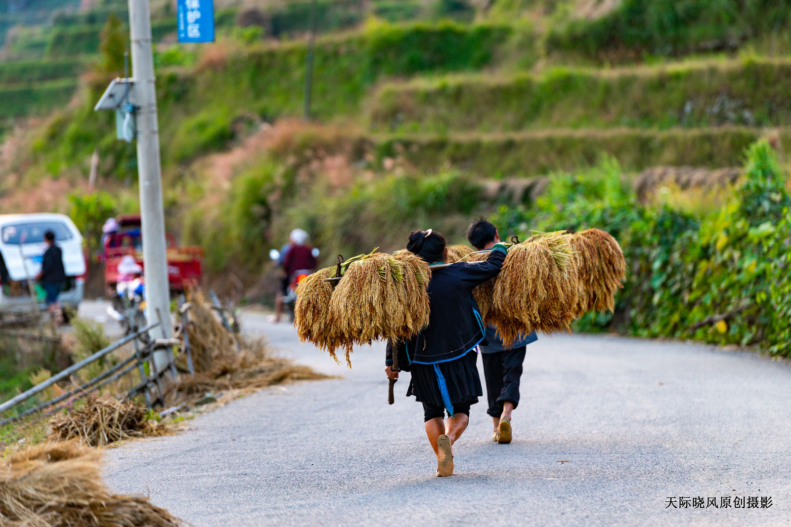 贵州加榜梯田简介,加榜梯田苗族完整版