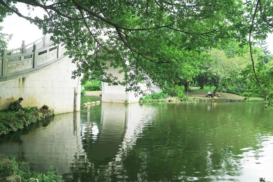 深圳遛娃必去的50个主题公园,深圳亲子游十佳去处免费