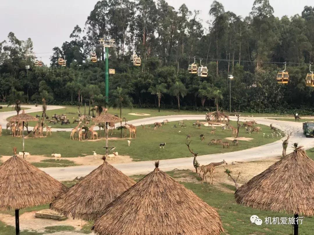 珠海长隆和广州长隆旅行攻略,珠海长隆和广州长隆旅游攻略区别