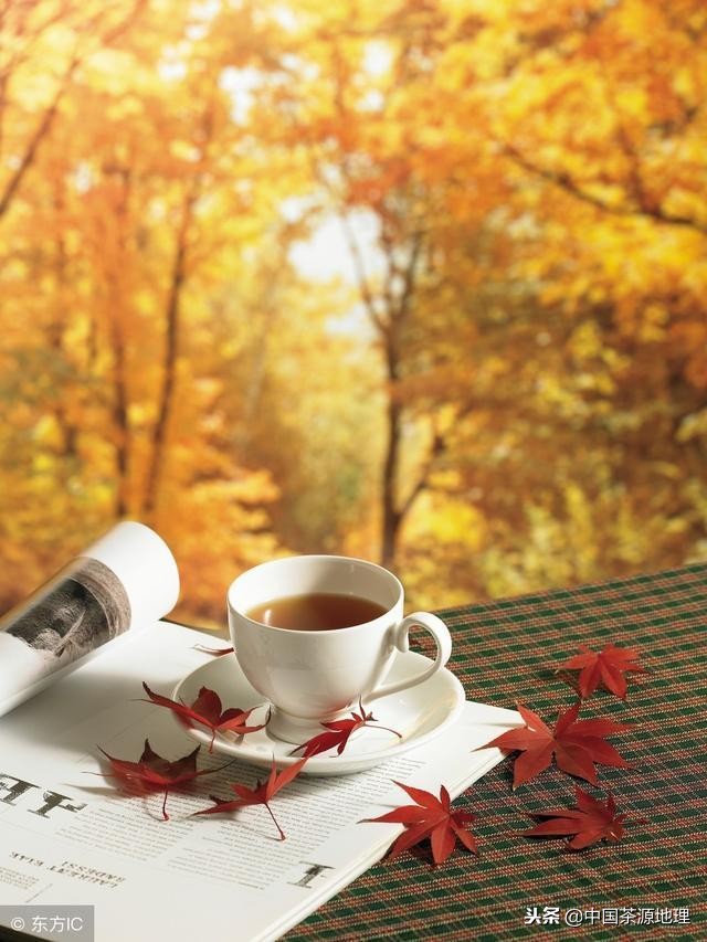 茶文化究竟是指什么意思,茶文化究竟是指什么详解