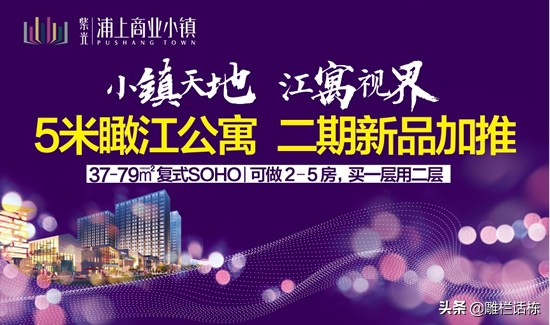 紫光浦上商业小镇值得买吗,闽侯紫光浦上商业小镇有别墅吗