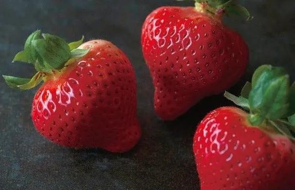 用6年时间，走访47地拜访2000人，退役后的“亚洲足球先生”中田英寿只专注做了一件事