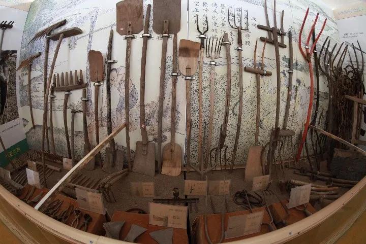 北京梨花旅游攻略,北京旅游攻略大兴庞各庄梨花