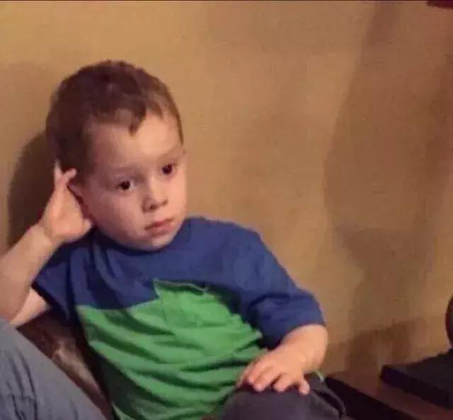 谢飞机随身携带的小绿包,谢飞机表情包视频