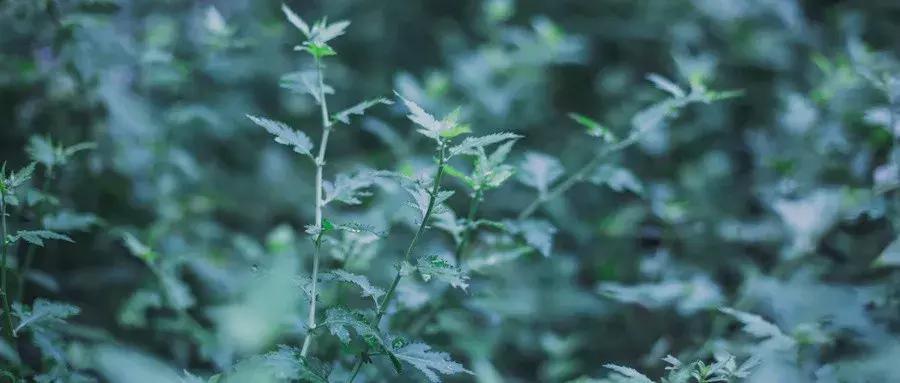 100元低成本创业项目适合穷人创业,五个适合穷人创业项目低成本赚钱