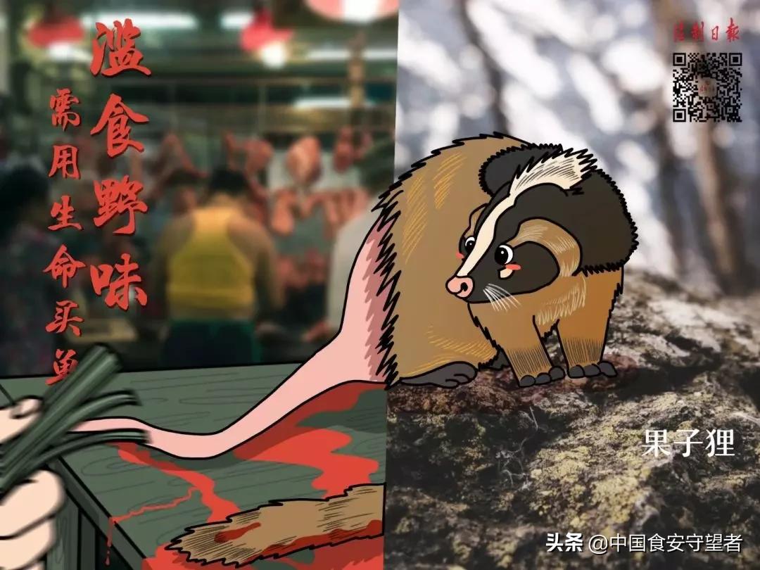 野生动物名录2021,最新三有野生动物名录