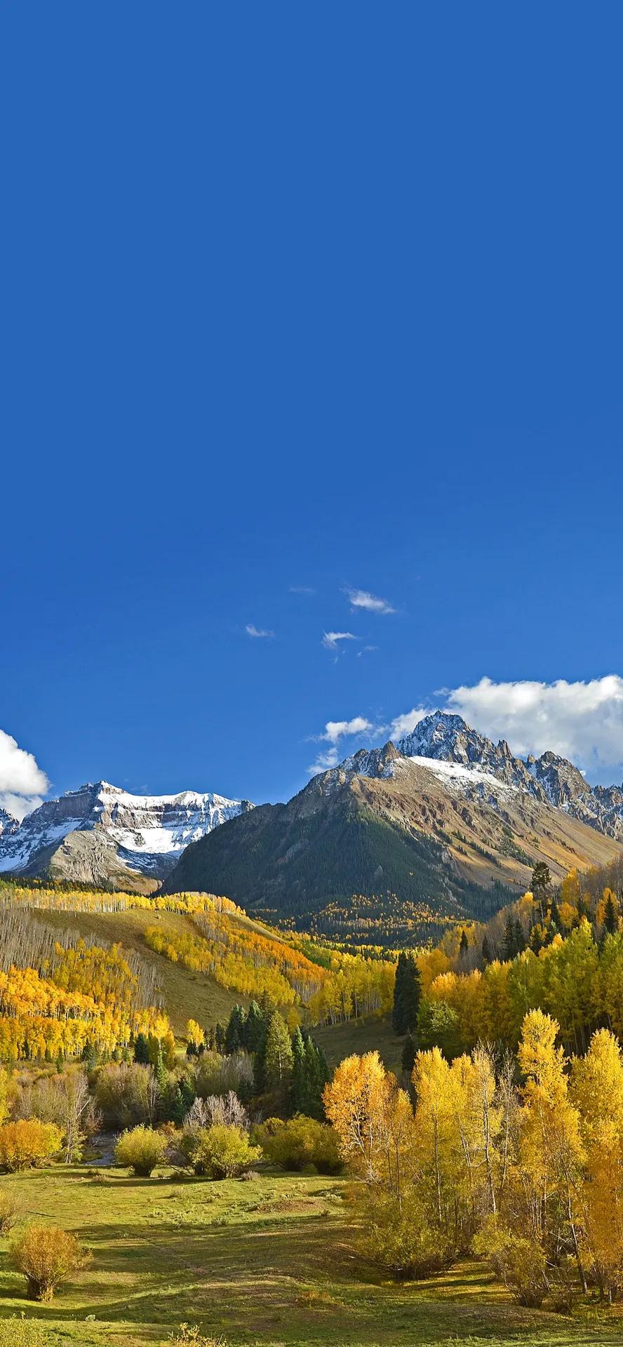 livephoto壁纸风景,livephoto壁纸动态效果不可用