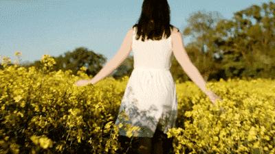 2月看油菜花3月看樱花,去城里看樱花去农村看油菜花