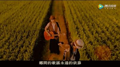 正宗五常大米黄钻稻花香米,大米推荐好吃的五常大米