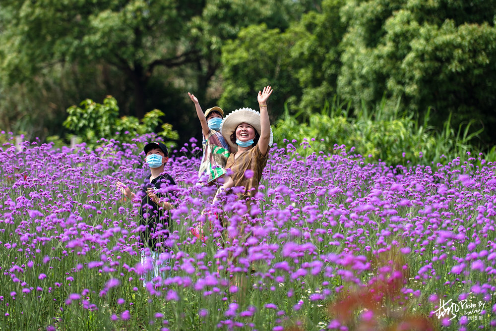 不进沙家浜景区能看到芦苇荡,深度游玩沙家浜风景区