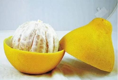 不少人对甲醛存在认知的误区,甲醛惹不起躲不了我们该如何自救