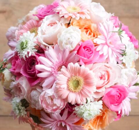 十二星座该送什么花,给十二星座送什么花最适合