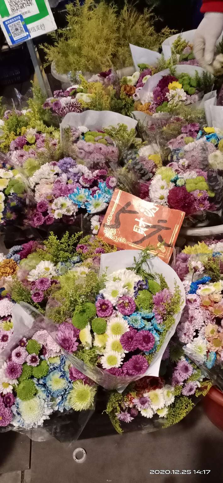 花都区岭南花卉批发市场在哪里,广州岭南花卉市场批发攻略