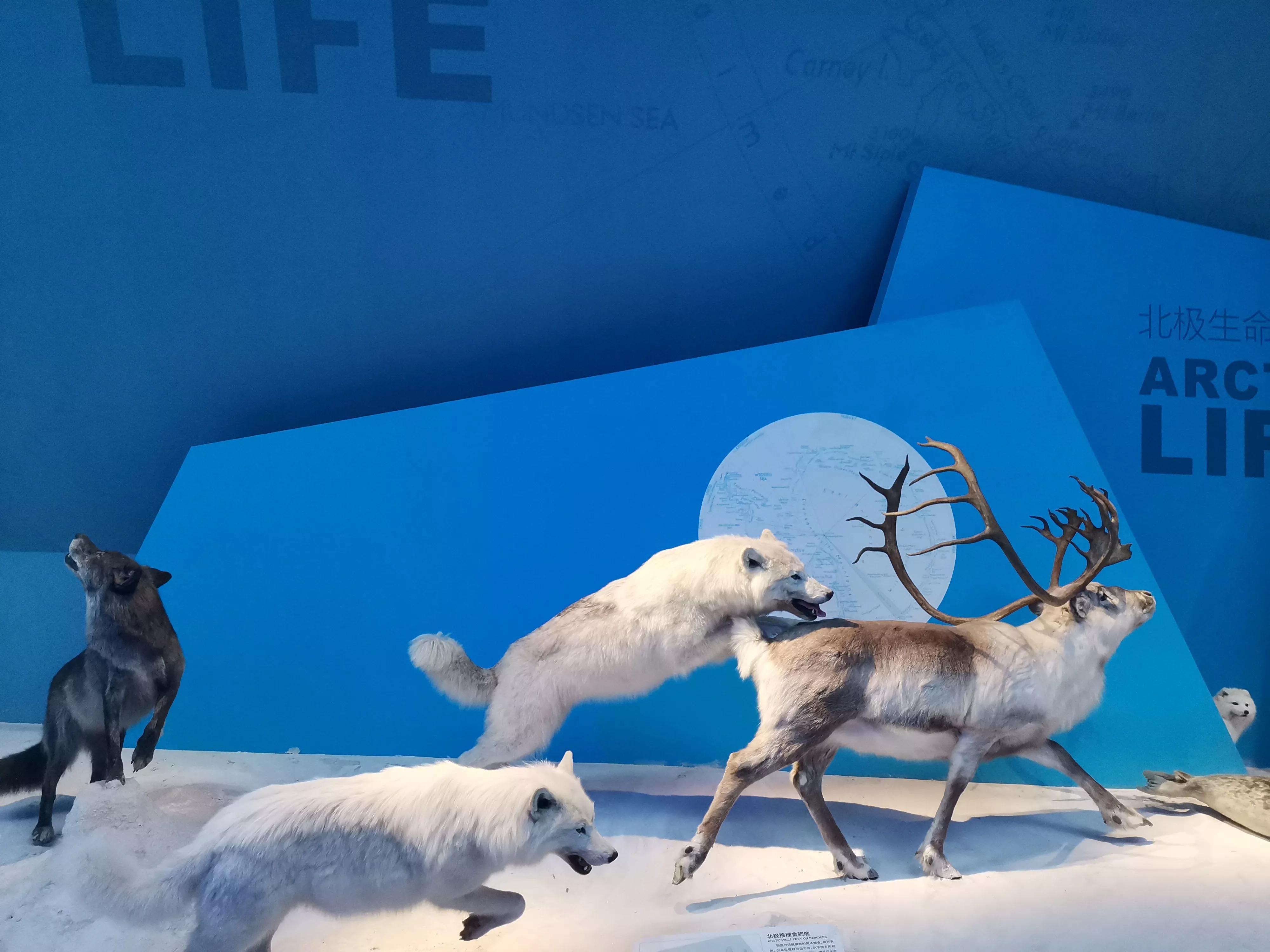 五一天津：路况满意，行程不错（海博+方特+妈祖像+滨海图书馆）