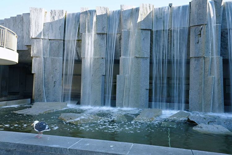 美国德州西部自由行,美国西海岸可以自由航行么