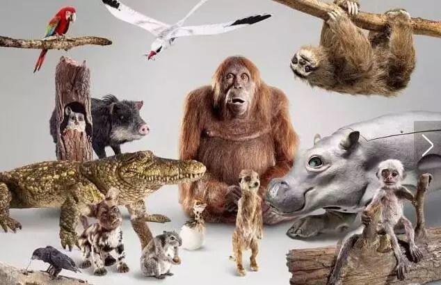 喜羊羊与灰太狼原始世界纪录片,喜羊羊与灰太狼每部片讲述的道理