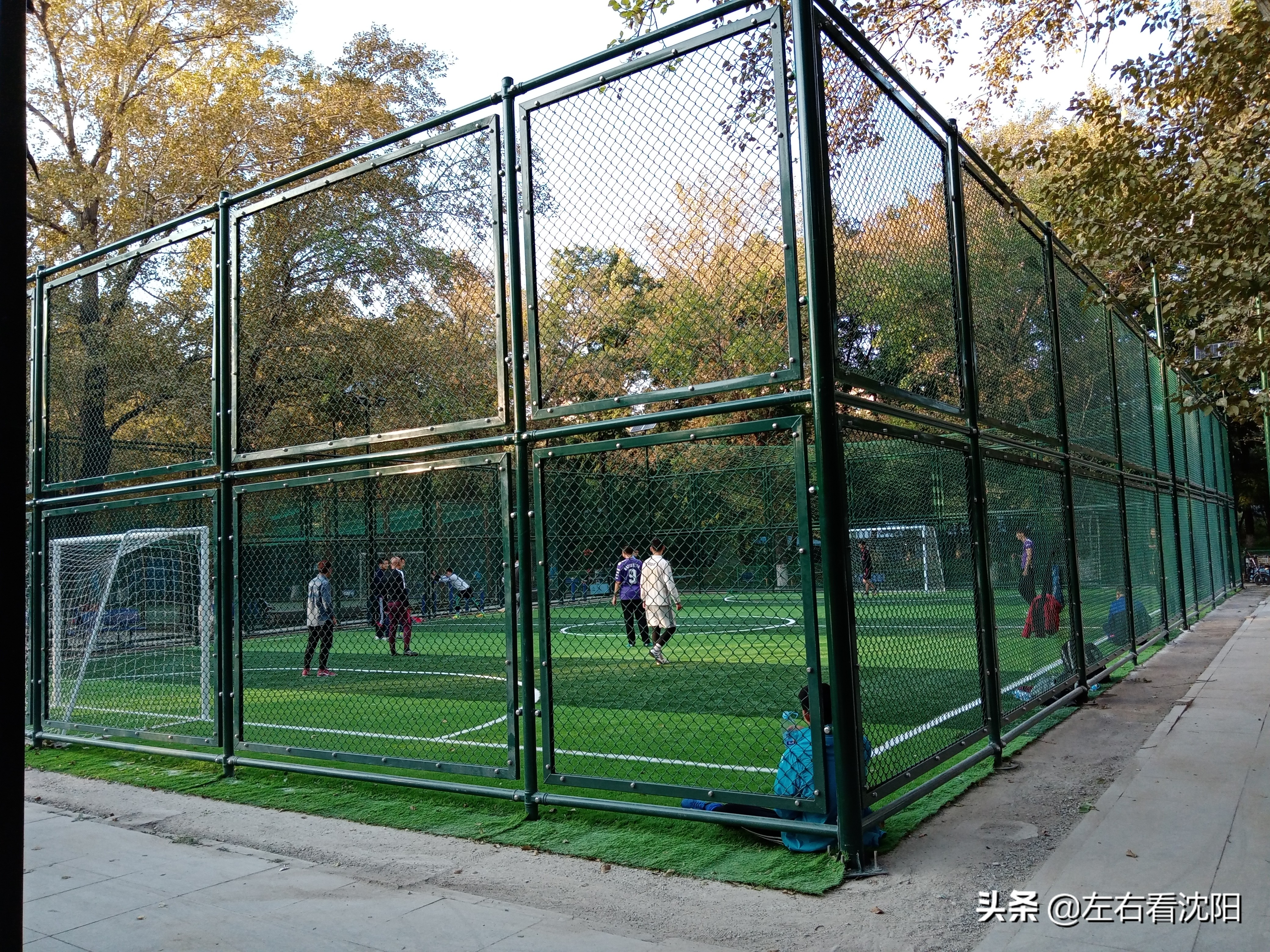 沈阳沈水湾公园看日出,沈阳浑河看海的地方