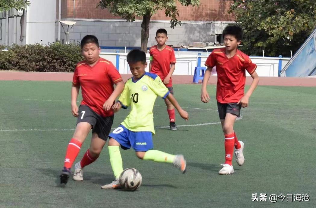 厦门海沧区前十名小学,厦门海沧小学排名前十名