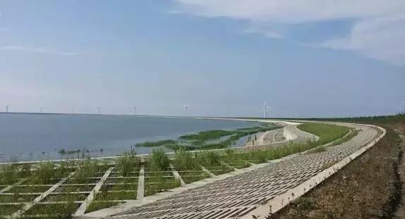 宁波春游踏青烧烤,宁波春天去哪里踏青