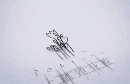 西安新年鲜花批发,西安鲜花店批发进货渠道