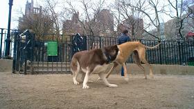 豆瓣9.1，看一次被萌一次，根本顶不住它们的可爱