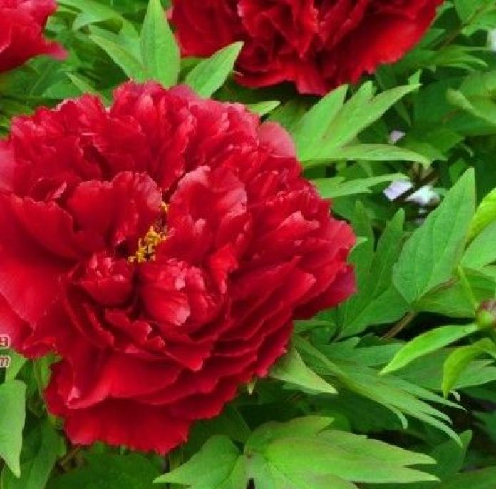 霸气经典说说适合发朋友圈的句子,最近朋友圈很流行的说说句句经典