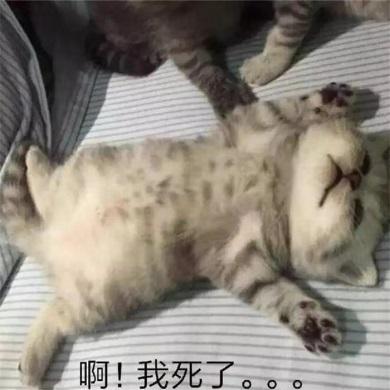 奇葩战斗家小僧前锋,奇葩战斗家小僧加强