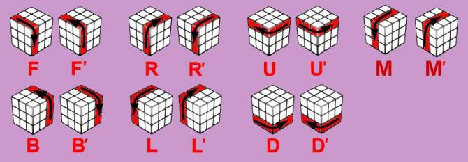 任何魔方6面7步还原！亲子教育共同学习