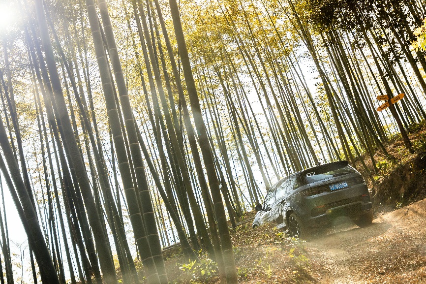 试驾路虎发现怎么样,路虎发现2020款3.0v630周年特别版