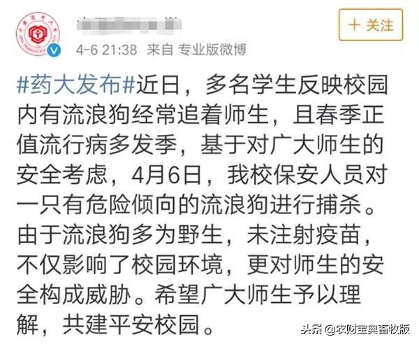 大学生宿舍养猪被发现遭通报批评,大学宿舍养猪