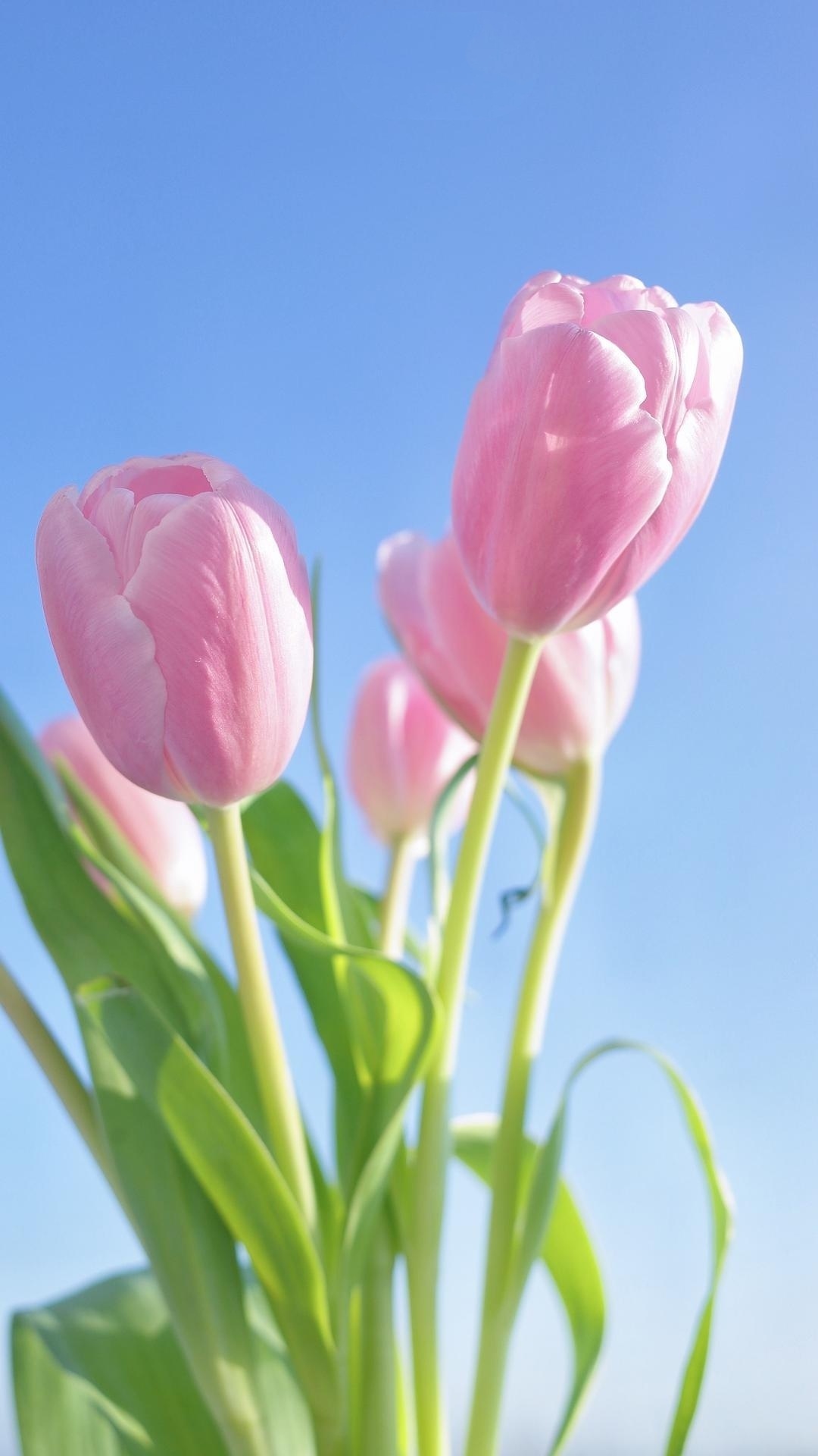 100张绝美壁纸海景,绝美壁纸夕阳窗户