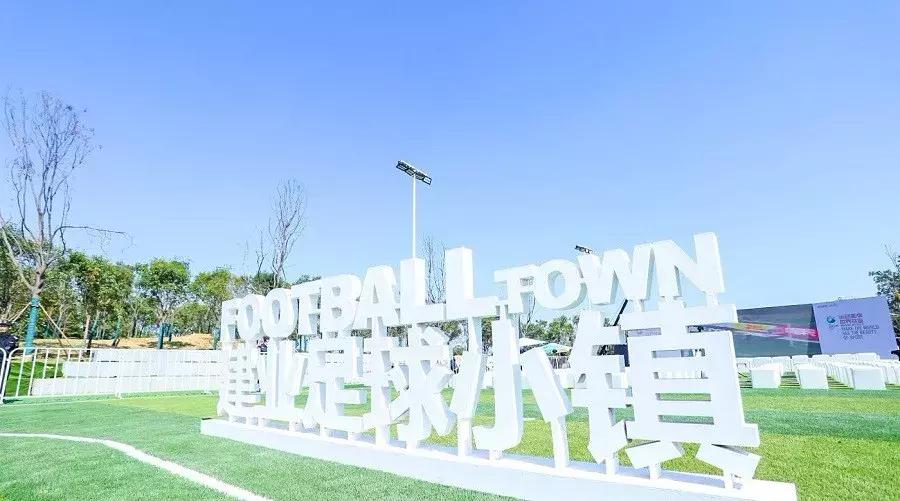 河南建业足球简介,河南建业足球一路走来