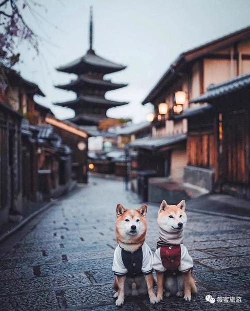 日本东京地铁攻略,日本东京旅游攻略景点大全