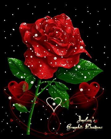 不想在朋友圈被虐狗，就去闲鱼上搜“520分手”