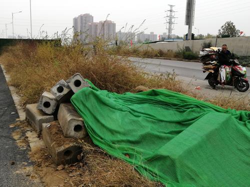 垃圾堆、破围挡、1米高的杂草、……郑州东站附近颜值亟待提升