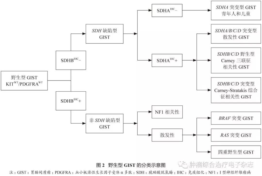 胃肠道间质瘤治疗指南,2017胃肠间质瘤专家共识