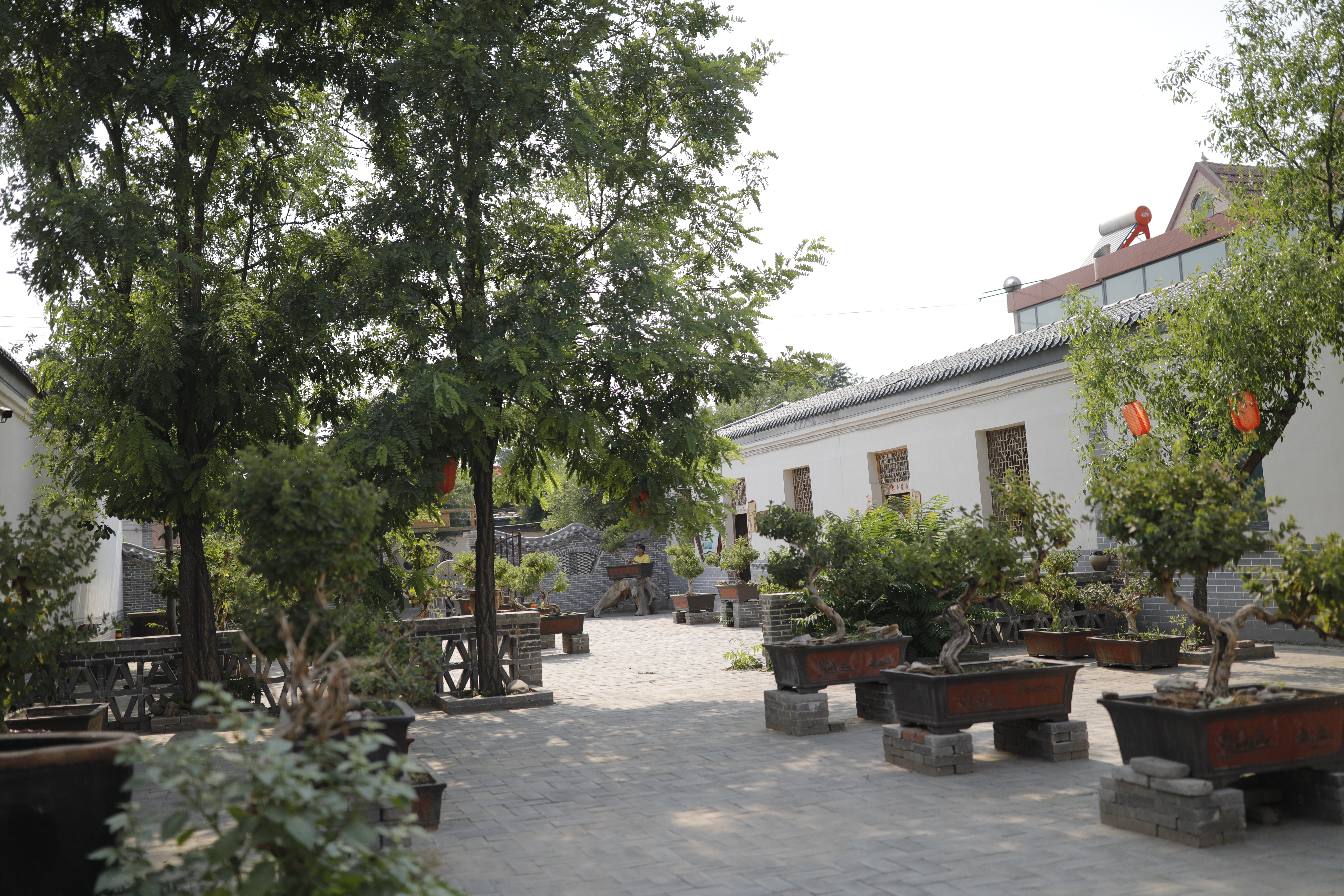 绾㈡潖涔嬩埂,涓浗绾㈡潖涔嬩埂