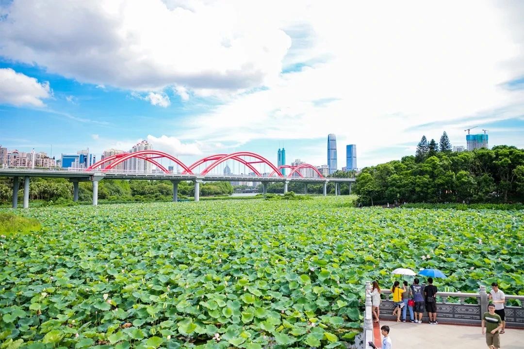 深圳地铁7号线有什么好玩的,深圳地铁十四号线游玩攻略