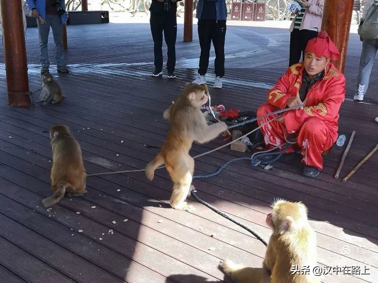 汉中户外遛娃好去处排行榜,汉中遛娃旅游景点有哪些