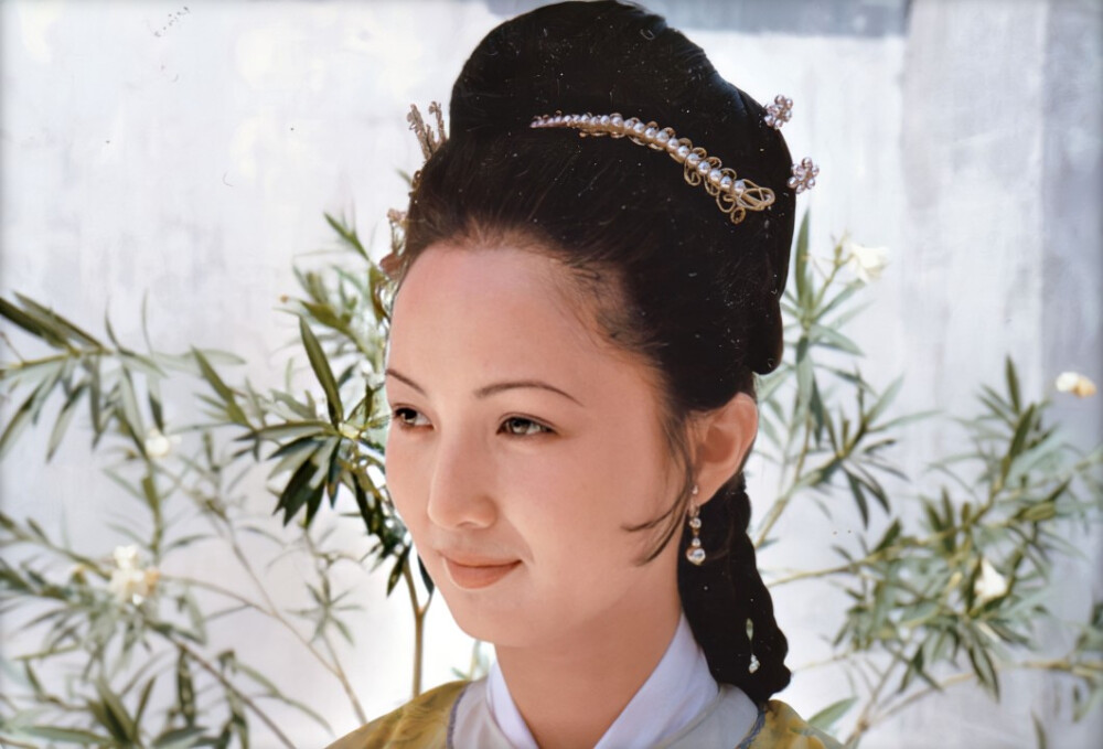 红楼梦中有脏话怎么理解,红楼梦里面的讽刺