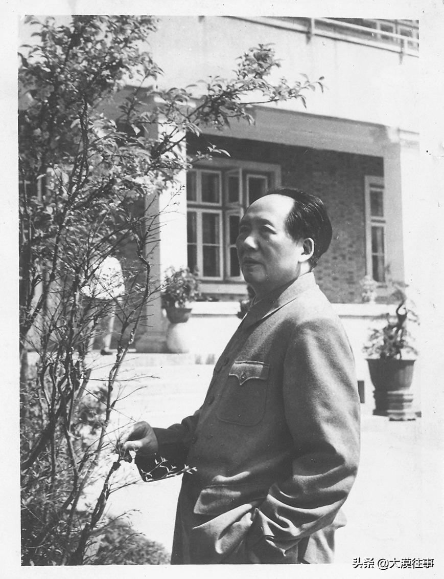 亲情在我心中作文,亲情在我的心中