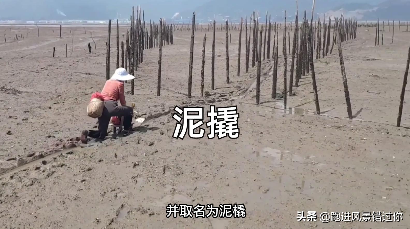 福州最有钱的村,福建福州最有钱的村