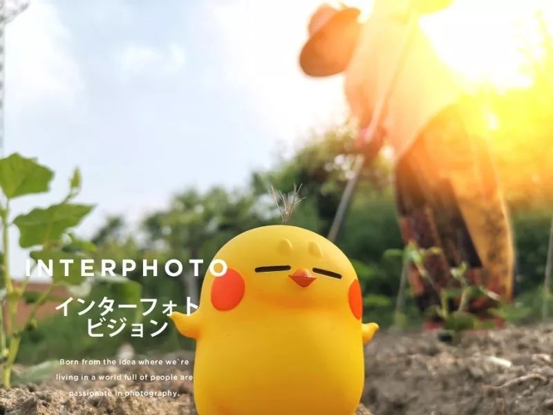 LJK特邀嘉宾｜韩鹏：有梦想的小鸡