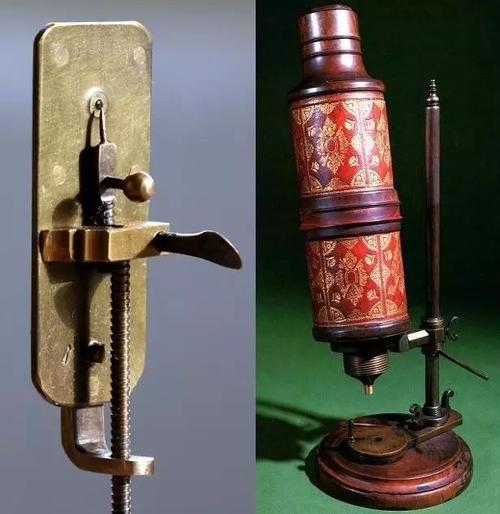 错了340年，精子潜水的方式并不是左右摆动尾巴