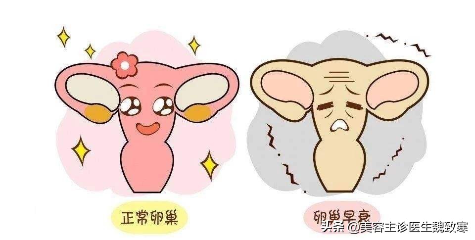魏致寒：*处私**不注重呵护“老得快”？分享方法给大家
