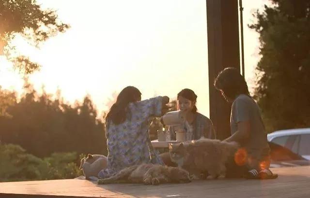 除了《乘风破浪的姐姐》，不出门的日子你也可以看看这些神仙综艺