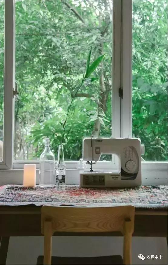 改造山野小院记录田园生活,花4万块钱改造的小院