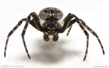 各种加盟创业骗局揭秘视频,加盟创业骗局大全视频讲解