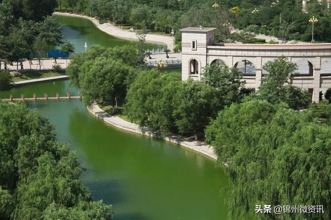 锦州渤海大学校庆献礼！纸短情长，写给我深爱的渤大